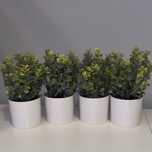 Target Faux Greenery in White Planters - Set of 4